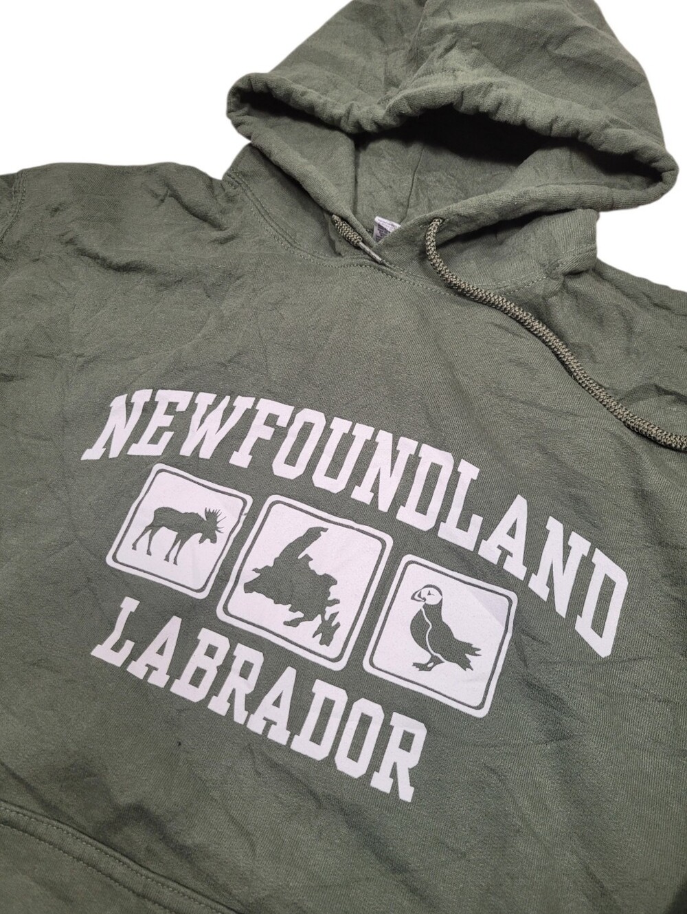 Y2K Prince Edward Island Labrador Green Hoodie Top Size: M
